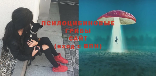 2c-b Беломорск