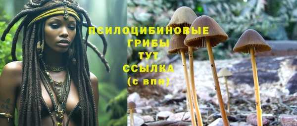 не бодяженный Белокуриха