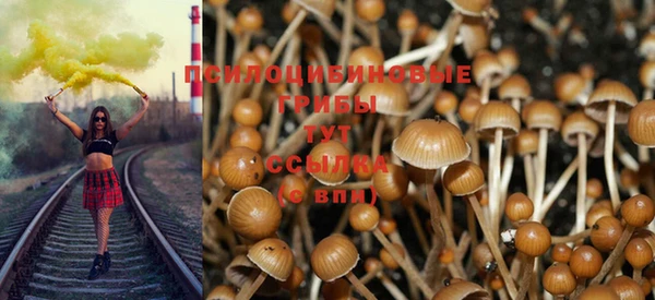 мдпв Белоозёрский