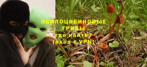 не бодяженный Белокуриха